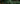 Seasonal Greens