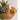 Ceramic cheetah hanging planter with a neutral glaze, ideal for succulents or small plants.