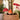 Set of three ceramic mushroom plant stakes in red, orange and white, perfect for adding whimsy to indoor or outdoor planters.