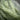 Close up of the Fuzzy Spray Greenery showing the soft texture of the greens.