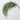 Feathery faux rosemary spray with cascading sage green leaves, displayed flat on a white surface.