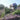 Farmers work in Los Poblanos lavender fields harvesting organic lavender.
