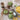 Cinnamon Pear Jam Guacamole