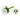White parrot tulip bundle of 12 stems.