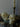 Skull-shaped candles on a decorative tray with a candle in a holder in the background.