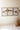 Set of 3 Framed Triptych Trout Print Under Glass hung on a wall in a living room.