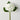 Artificial white hydrangea spray with realistic petals and green leaves displayed on a white background.