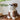 Ceramic Bull Dog Canister