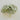 Extra Large Artificial Tillandsia Plant