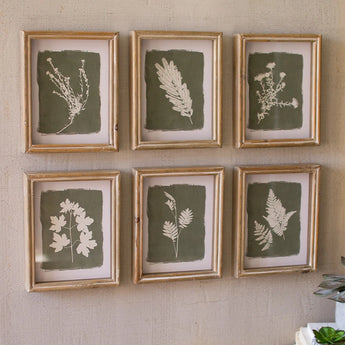 6 different styles of fern prints under glass.