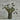 Handmade Melaleuca Dusk stems styled in beautiful clay vase.