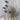Meadow flower melaleuca purple stems