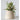 Decorative Handmade Paper Mache Container holding an artificial plant.