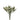 Bouquet of small white flowers on a white background
