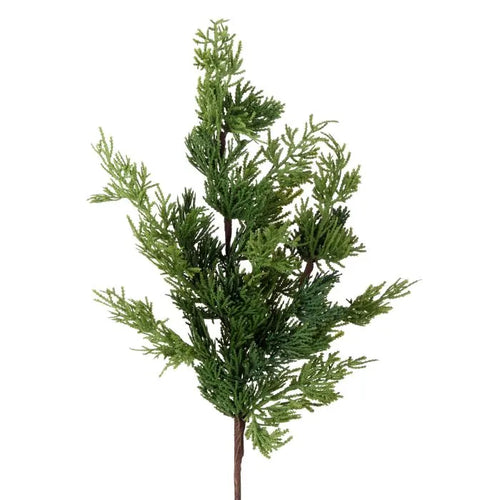 Realistic cedar spray branch with variations of green. 