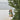 A gold French bulldog Christmas ornament with a green wreath collar hangs from a gold string on a green Christmas tree next to a white paneled wall.