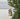 A gold French bulldog Christmas ornament with a green wreath collar hangs from a gold string on a green Christmas tree next to a white paneled wall.