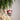 A ceramic French Bulldog Christmas ornament wearing a red Santa hat, hanging from a green pine tree branch with warm bokeh lights in the background.