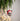 A ceramic French Bulldog Christmas ornament wearing a red Santa hat, hanging from a green pine tree branch with warm bokeh lights in the background.