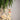 A small dog-shaped Christmas ornament hanging from green pine branches with warm blurred lights in the background.