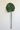Single green leaf on a white background