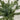 Artificial greenery on a textured white surface