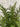 Green spray against a light gray brick wall
