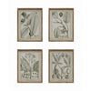 Framed plant wall decor, in 4 styles.