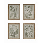 Framed plant wall decor, in 4 styles.