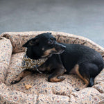 Cotton Dog Scarf with Block Print