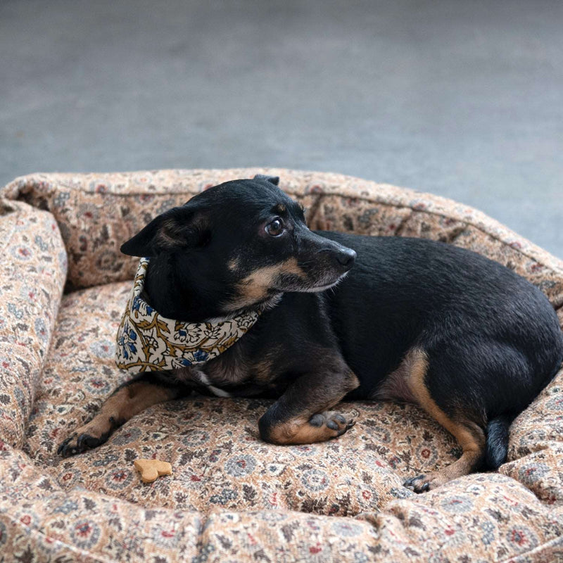 Cotton Dog Scarf with Block Print