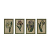 Vintage Inspired Framed Iris Print