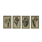 Vintage Inspired Framed Iris Print