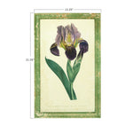 Vintage Inspired Framed Iris Print