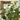 Decorative mirror with gold frame surrounded by green foliage and white flowers.