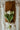 Bouquet of white tulips tied with a ribbon on a wooden board over a striped fabric background