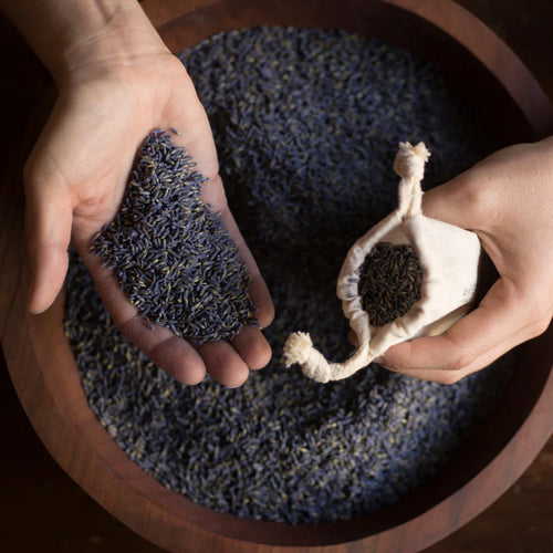 A bowl of freshly dried lavender being placed in muslin bags by hand. 