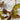 Artificial autumn leaf vine with brown and yellow-green leaves on thin branches, displayed against a white brick wall background.