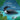 Book cover of 'Loons on the Lake' with a loon illustration and nature elements.