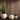 Three decorative planters with plants against a wooden panel background