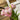 Pink tulips in a vase with a wooden and white background