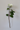 Artificial flower stem with white flowers and green leaves on a plain background