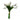 Bouquet of white tulips with green stems on a white background