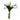 Bouquet of white tulips with green stems on a white background