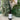 Mint and eucalyptus diffuser bottle with decorative elements on a marble surface.