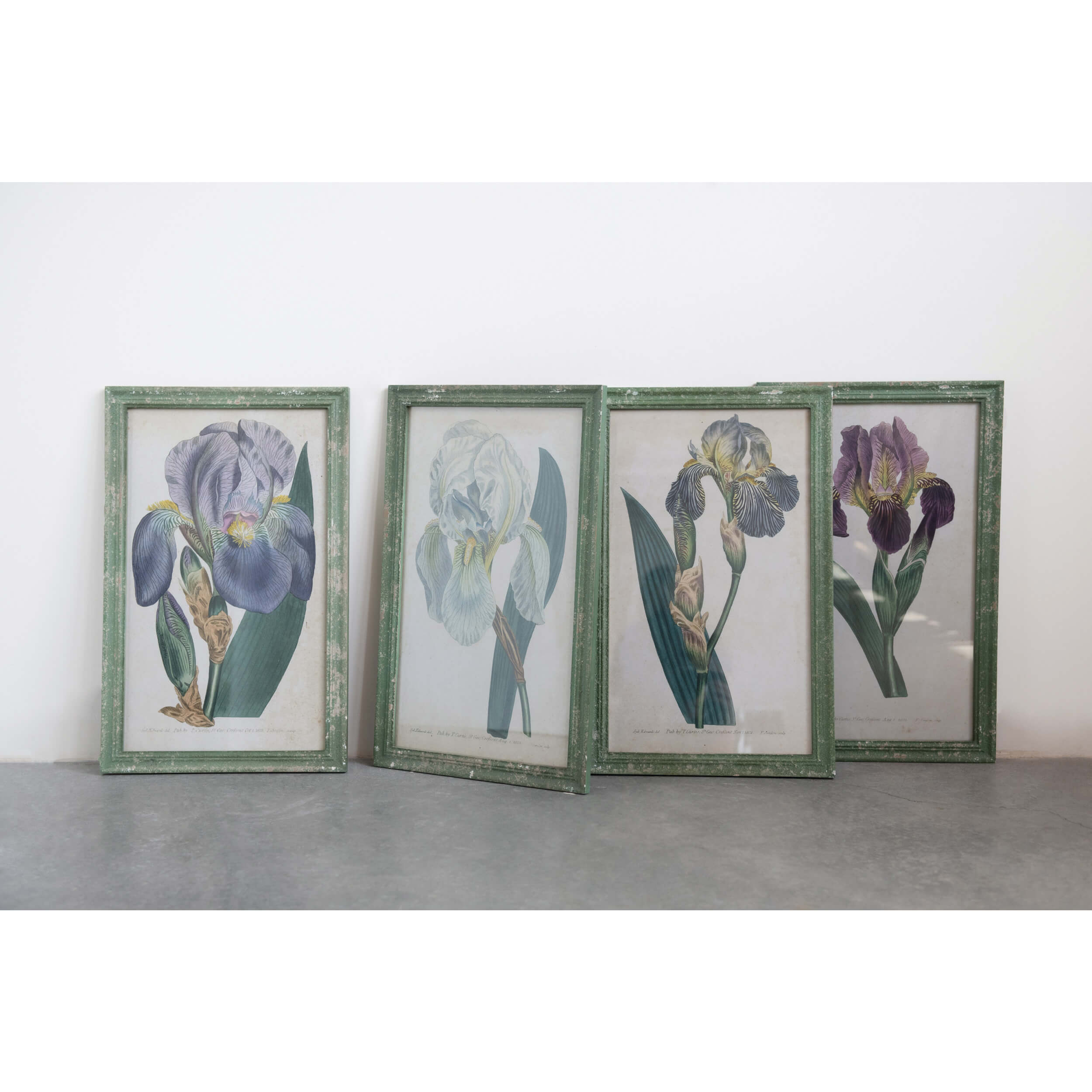 Styled Vintage Inspired Framed Iris Prints leaning against a wall. 