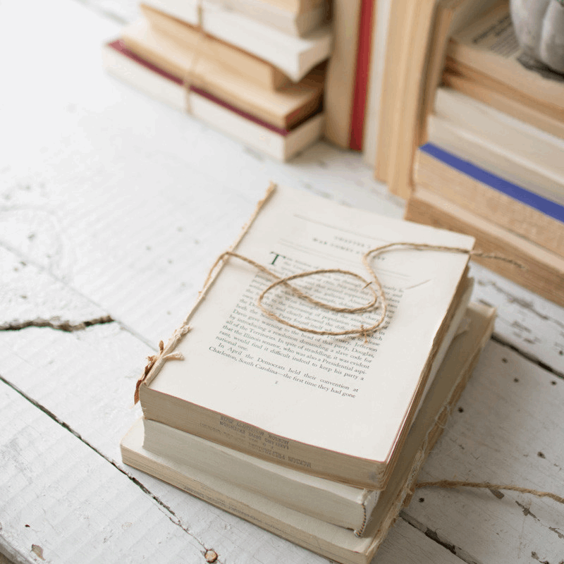Bundle of Repurposed Books