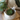 Ceramic Rabbit Planter