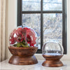 Globe Cloche
