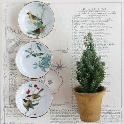 Bird plates with gold edge styled with mini tree in pot. 